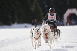 Lenzerheide 2013